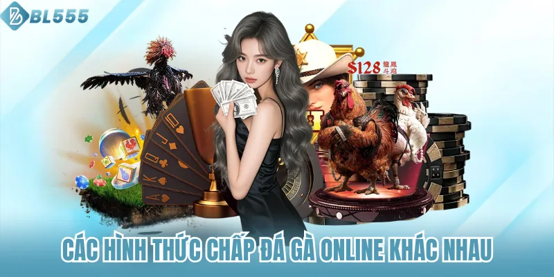 Các hình thức chấp đá gà online khác nhau